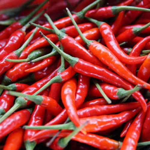 Red Chilli